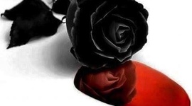 Timeline: History time line