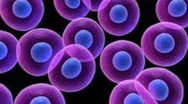 Timeline: Aportes acerca de la teoria celular