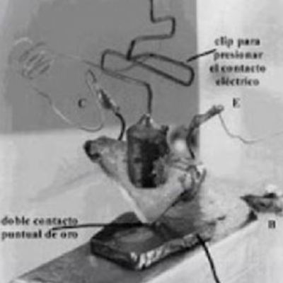Timeline: DESARROLLO CIEnTIFICO TECNOLOGICO