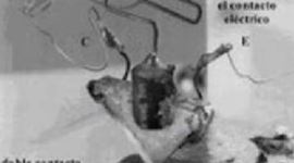 Timeline: DESARROLLO CIEnTIFICO TECNOLOGICO