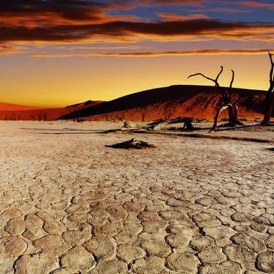 Timeline: The West Timeline