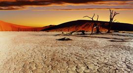 Timeline: The West Timeline