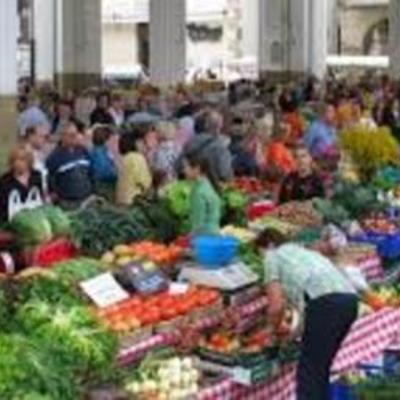 Timeline: Azoka proiektuaren ezartze-plana