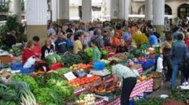 Timeline: Azoka proiektuaren ezartze-plana