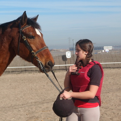 Timeline: Olivia's line