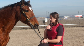 Timeline: Olivia's line