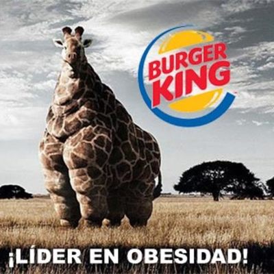 Timeline: CONTRAPUBLICIDAD