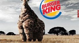 Timeline: CONTRAPUBLICIDAD