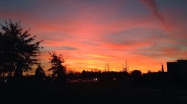 Timeline: Timeline Final Project