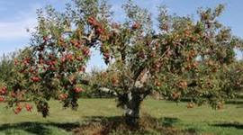 Timeline: The Life of Alex