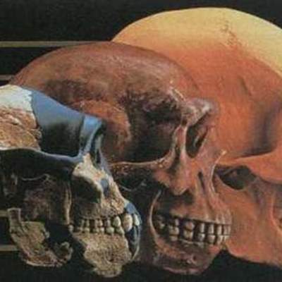 Timeline: Eje cronológico: Evolución de los homínidos