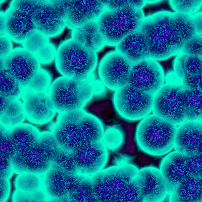 Timeline: Biologia Celular