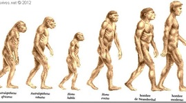 Timeline: Evolución de los Homínidos