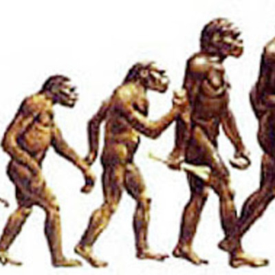 Timeline: ¡EVOLUCIÓN DE LOS HOMÍNIDOS!