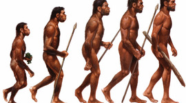Timeline: La evolución humana