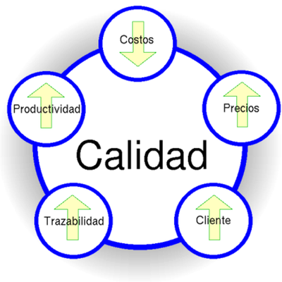 Timeline: EVOLUCIÓN DE CA CALIDAD