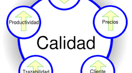 Timeline: EVOLUCIÓN DE CA CALIDAD