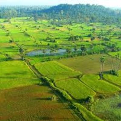 Timeline: Environmental Destruction in When Broken Glass Floats: SAMPLE ONLY. FACTS ARE INACCURATE.