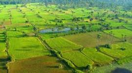 Timeline: Environmental Destruction in When Broken Glass Floats: SAMPLE ONLY. FACTS ARE INACCURATE.