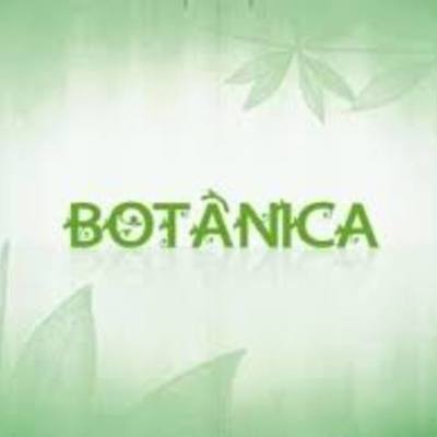 Timeline: BOTANICA
