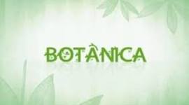 Timeline: BOTANICA