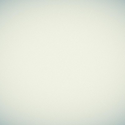 Timeline: Historia del pop punk