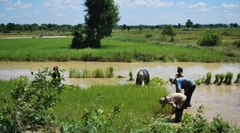 Timeline: "With a body comes suffering"