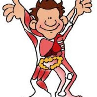 Timeline: Human Body:  Structure & Function