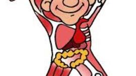 Timeline: Human Body:  Structure & Function