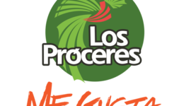 Timeline: Time Line Centro Comercial Los Próceres