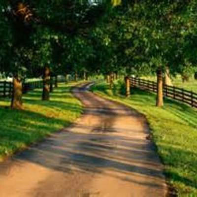 Timeline: Denise Snachez