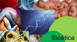 Timeline: ORIGEN DE LA BIOETICA