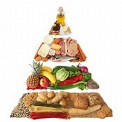 Timeline: School Nutrition Program