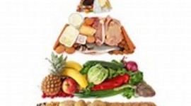 Timeline: School Nutrition Program