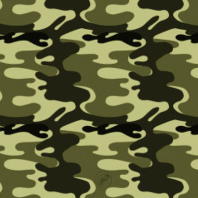 Timeline: WWI Timeline - Aneal