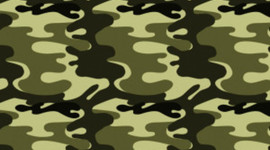 Timeline: WWI Timeline - Aneal