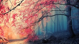 Timeline: Celebrating the Unsung