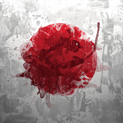 Timeline: Occupation