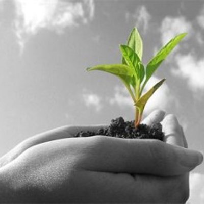 Timeline: Agriscience Timeline