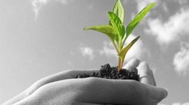 Timeline: Agriscience Timeline