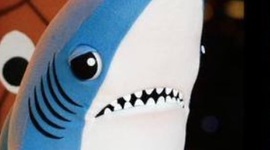 Timeline: China timeline