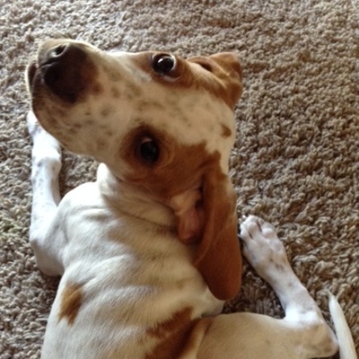 Timeline: My so very, very important project