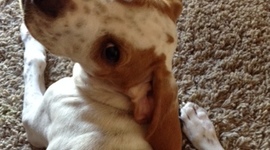 Timeline: My so very, very important project