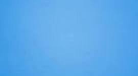 Timeline: Amendments