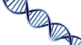 Timeline: DNA Timeline