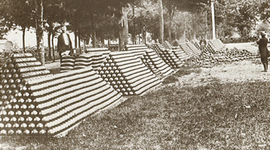 Timeline: Civil War/Frank Malcom