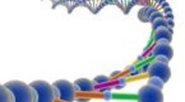 Timeline: Events and People of Bioinformatics