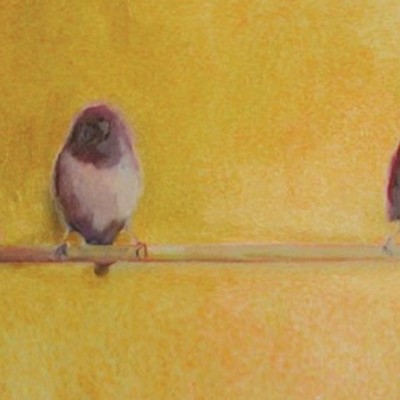 Timeline: The Help IR Project