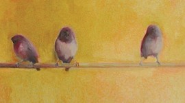 Timeline: The Help IR Project