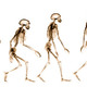 Evolution large 09 02 041